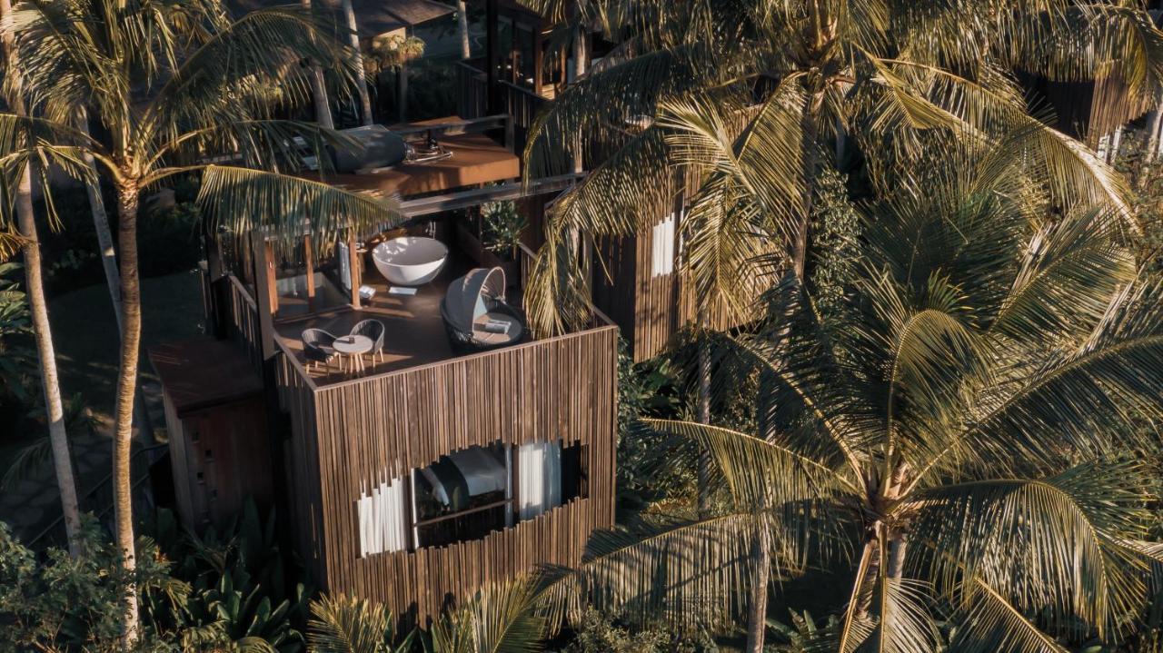 Canopy Suite