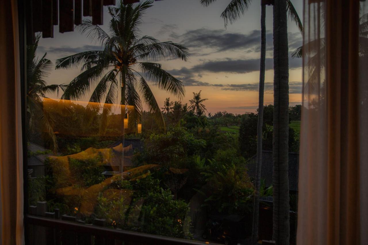 Canopy Suite