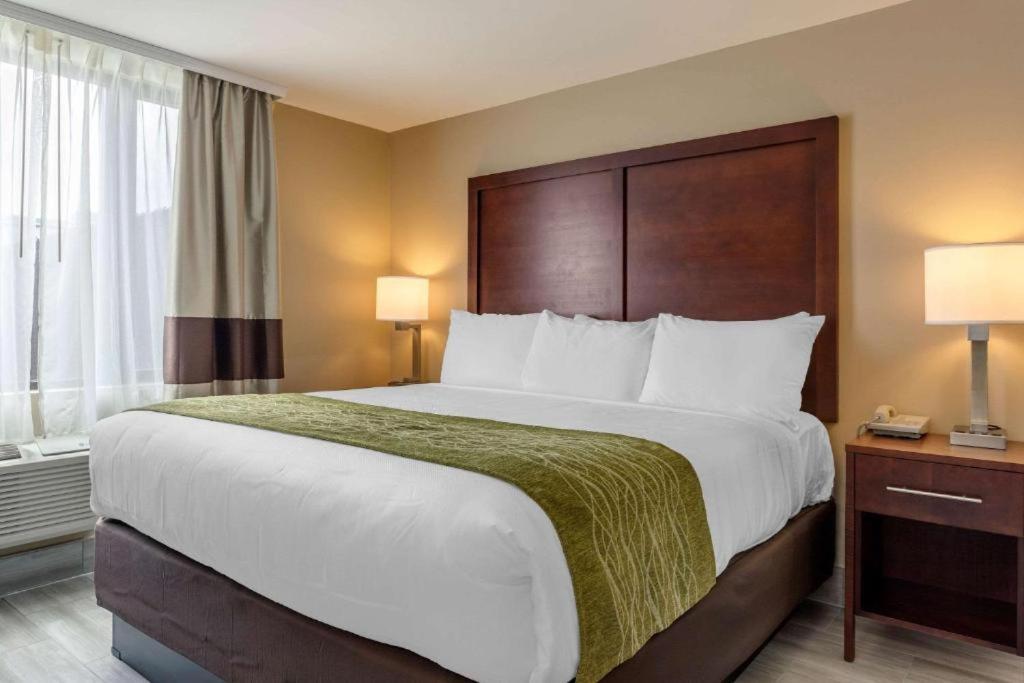 King Room City View
