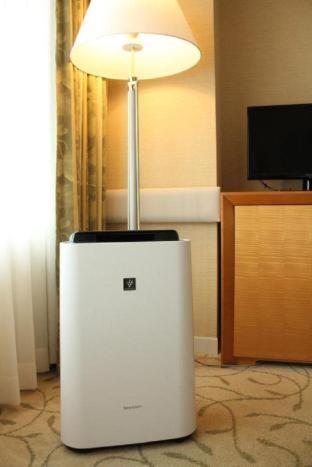 Single Room Non-Smoking