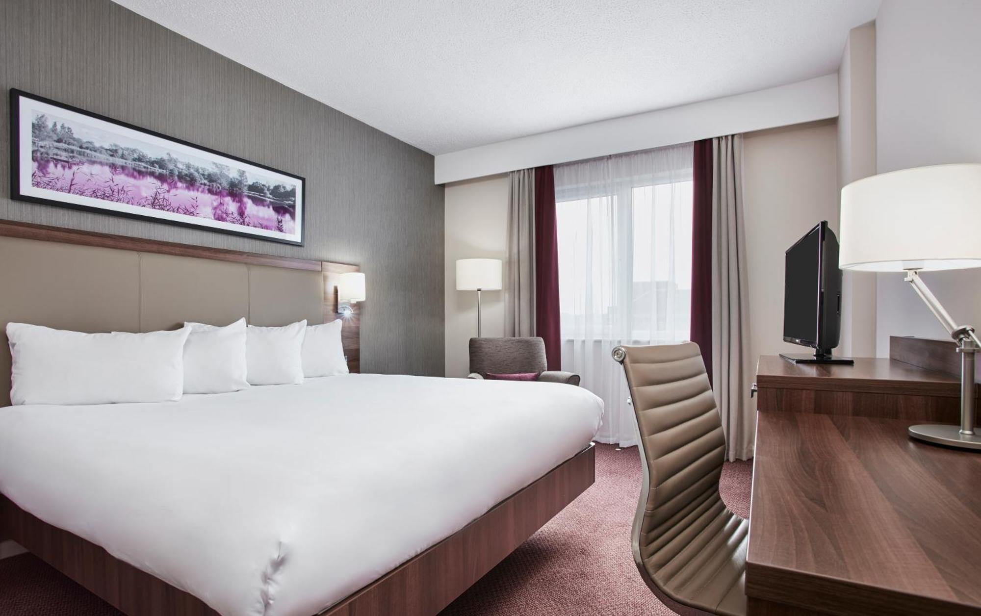 Executive King Room,1771732610:JPEG