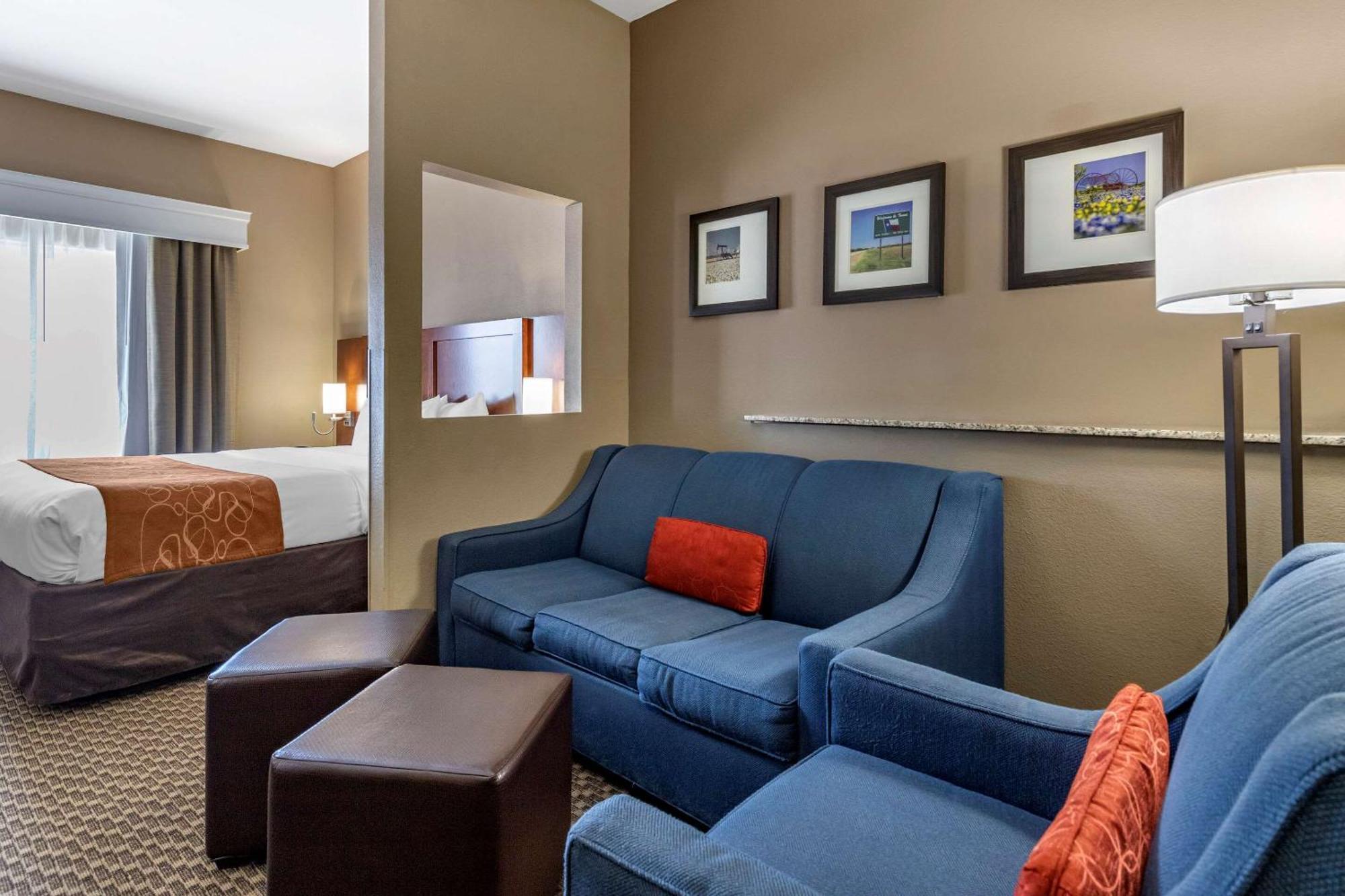King Suite with Sofa Bed