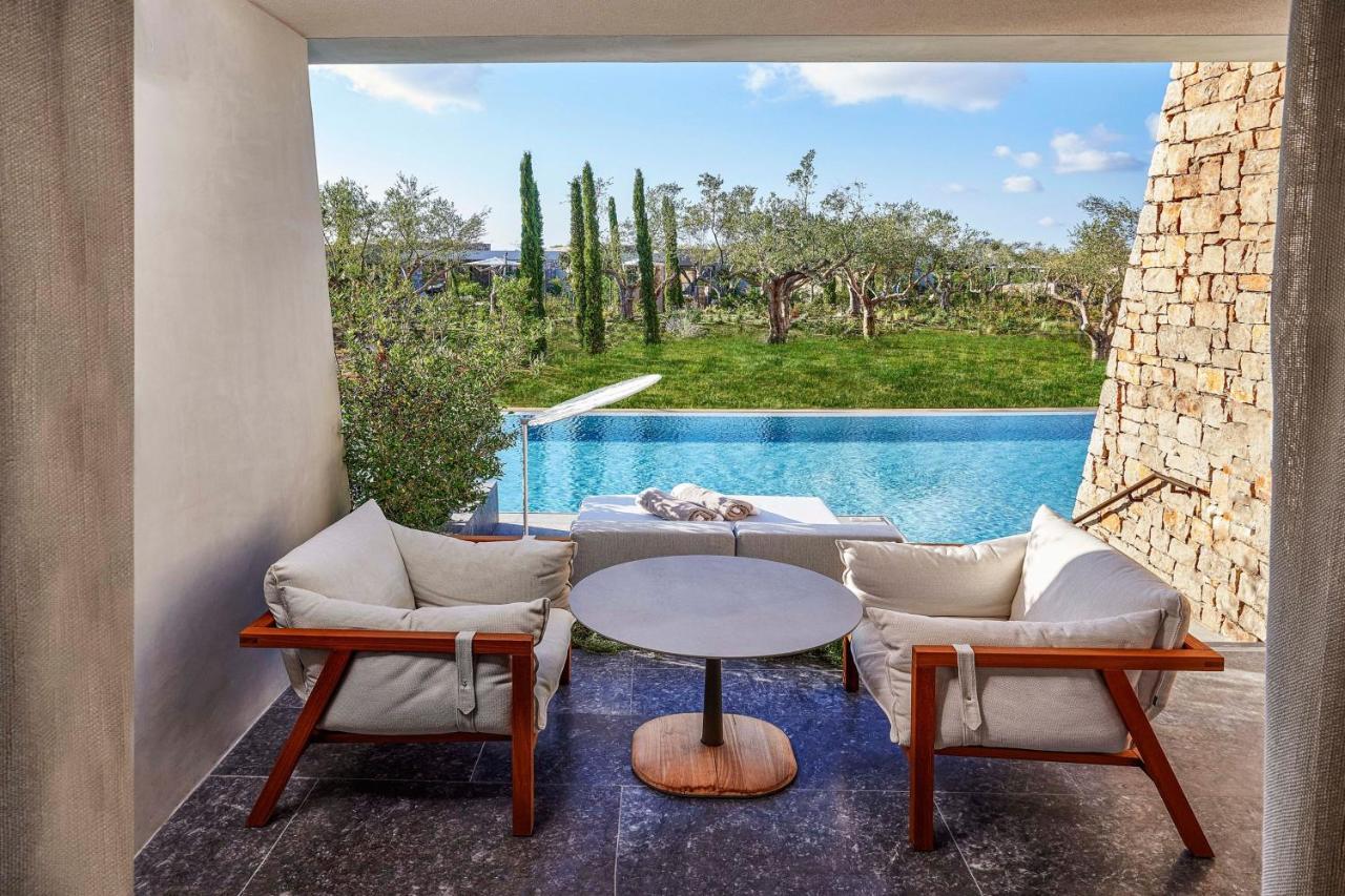 Premier Infinity Swim up Guest room Garden view Terrace
