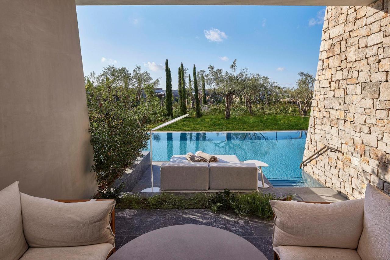 Premier Infinity Swim up Guest room Garden view Terrace