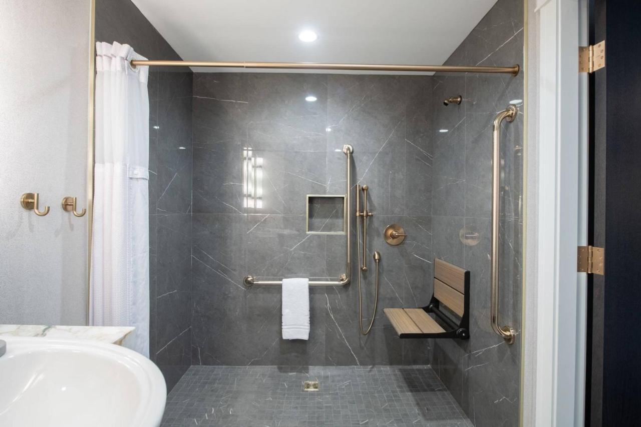 Accessible Room 1 King Bed 1 Sofa Bed Double Roll Shower