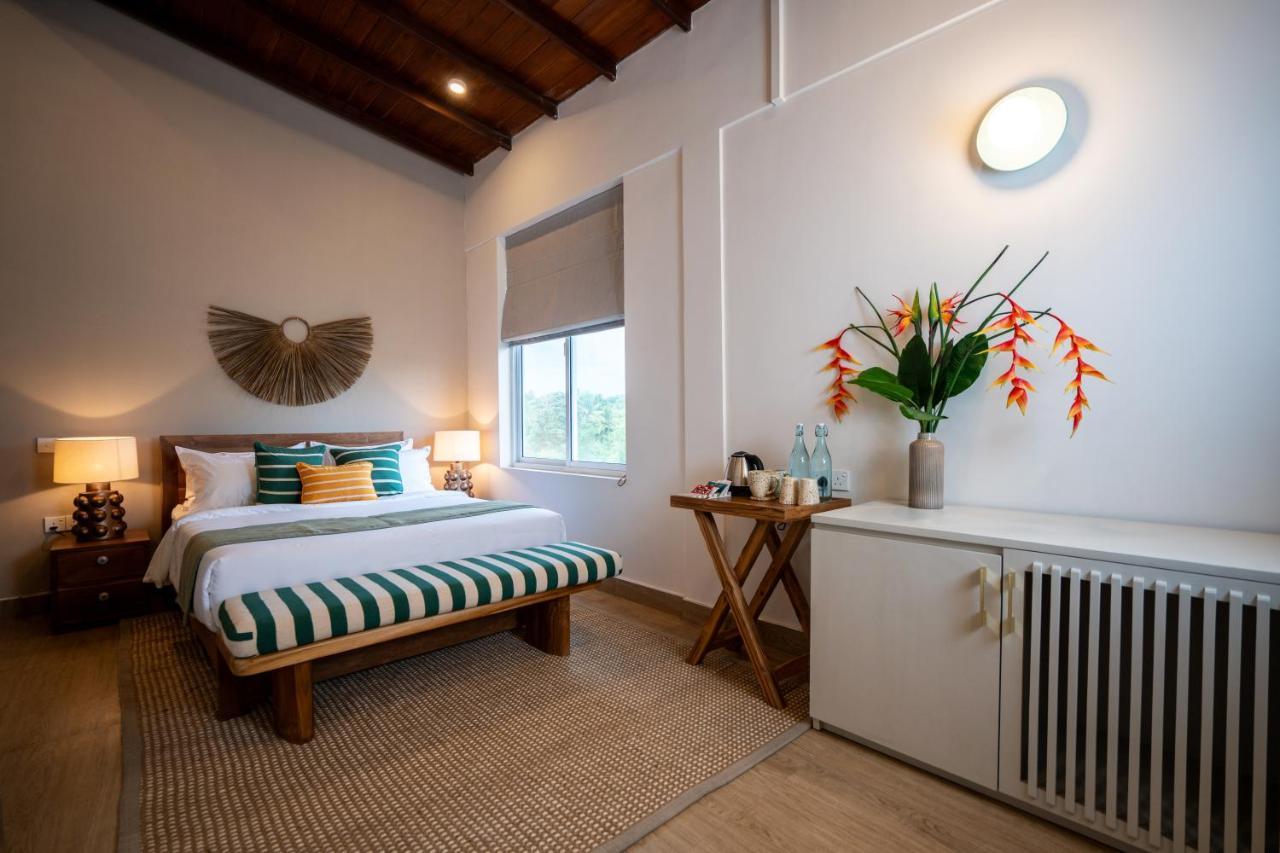 Superior Queen Room