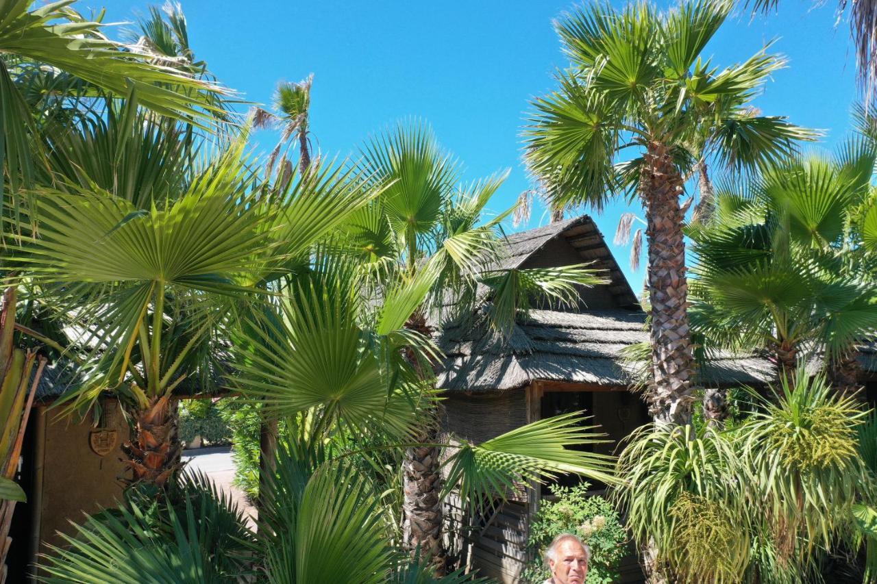 Premium Garden Tiki hutte-one bedroom and sofa bed (2 Adults and 2 Children)