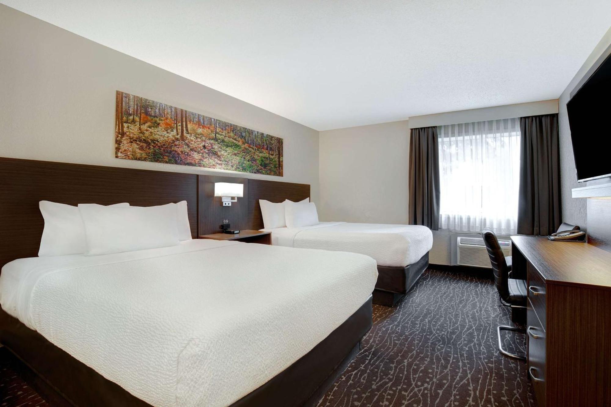 Queen Room with Two Queen Beds - Pet Friendly/Non-Smoking