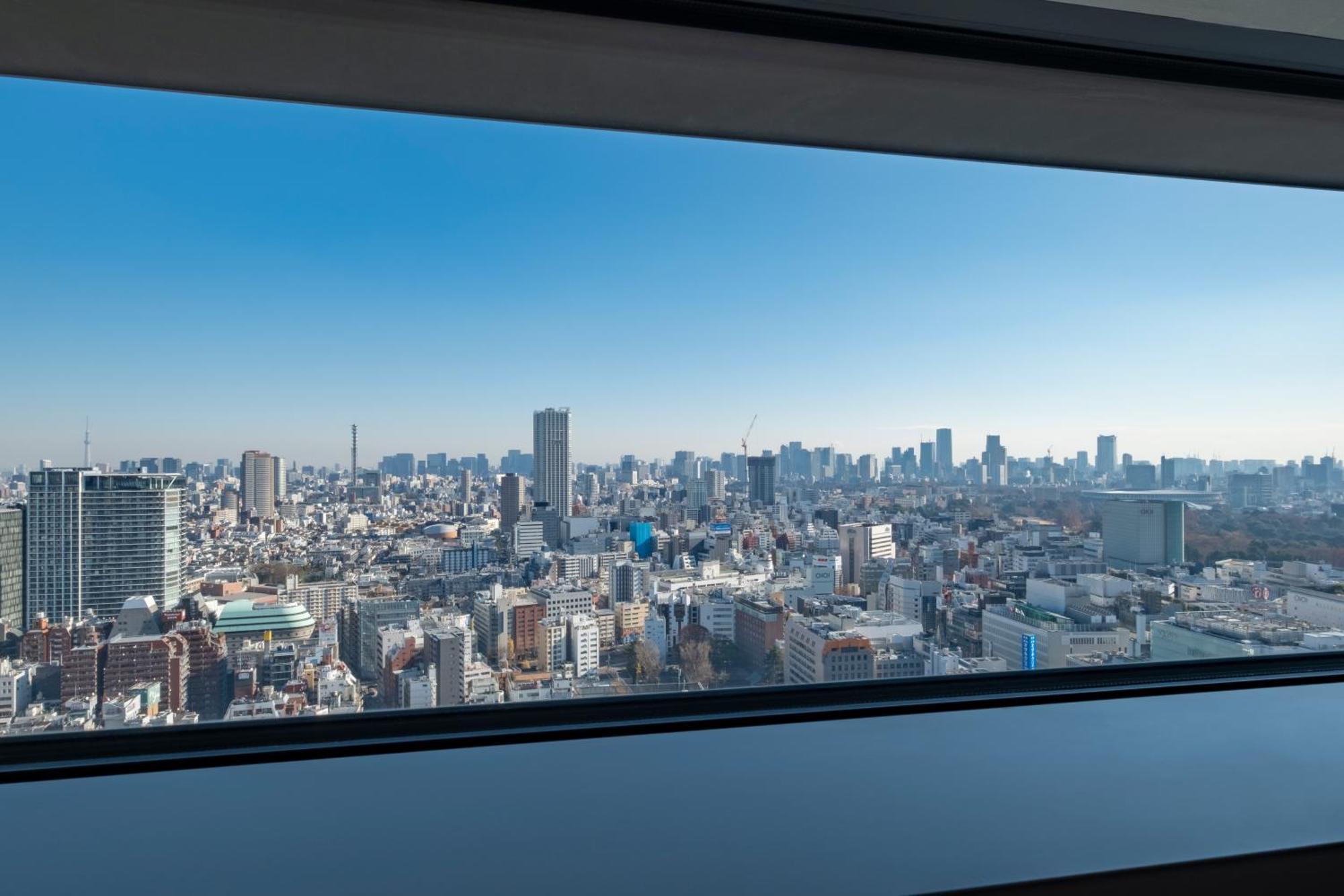 Standard Double on the Highest Floor Godzilla Floor