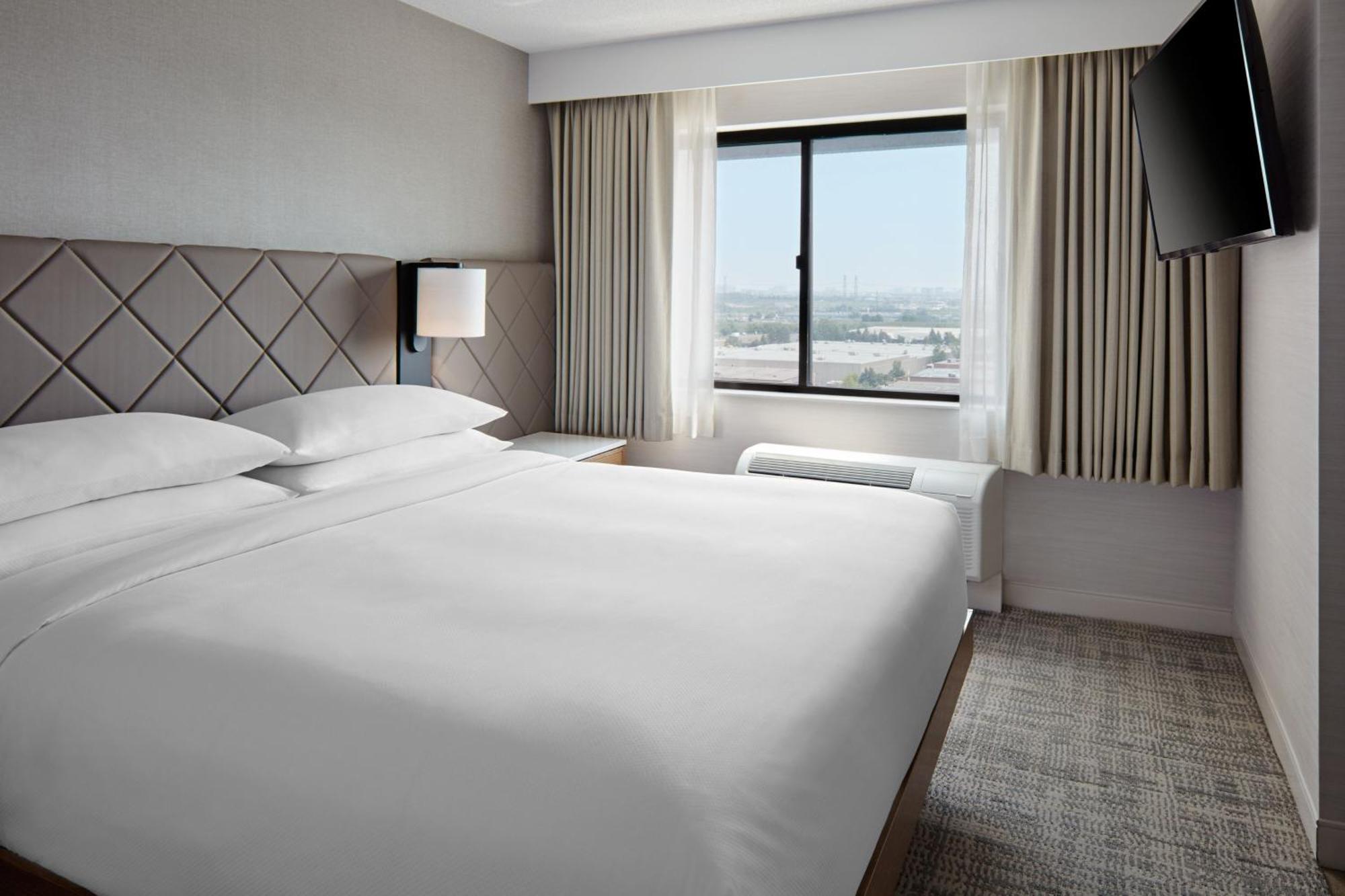 One-Bedroom King Suite with Sofa Bed