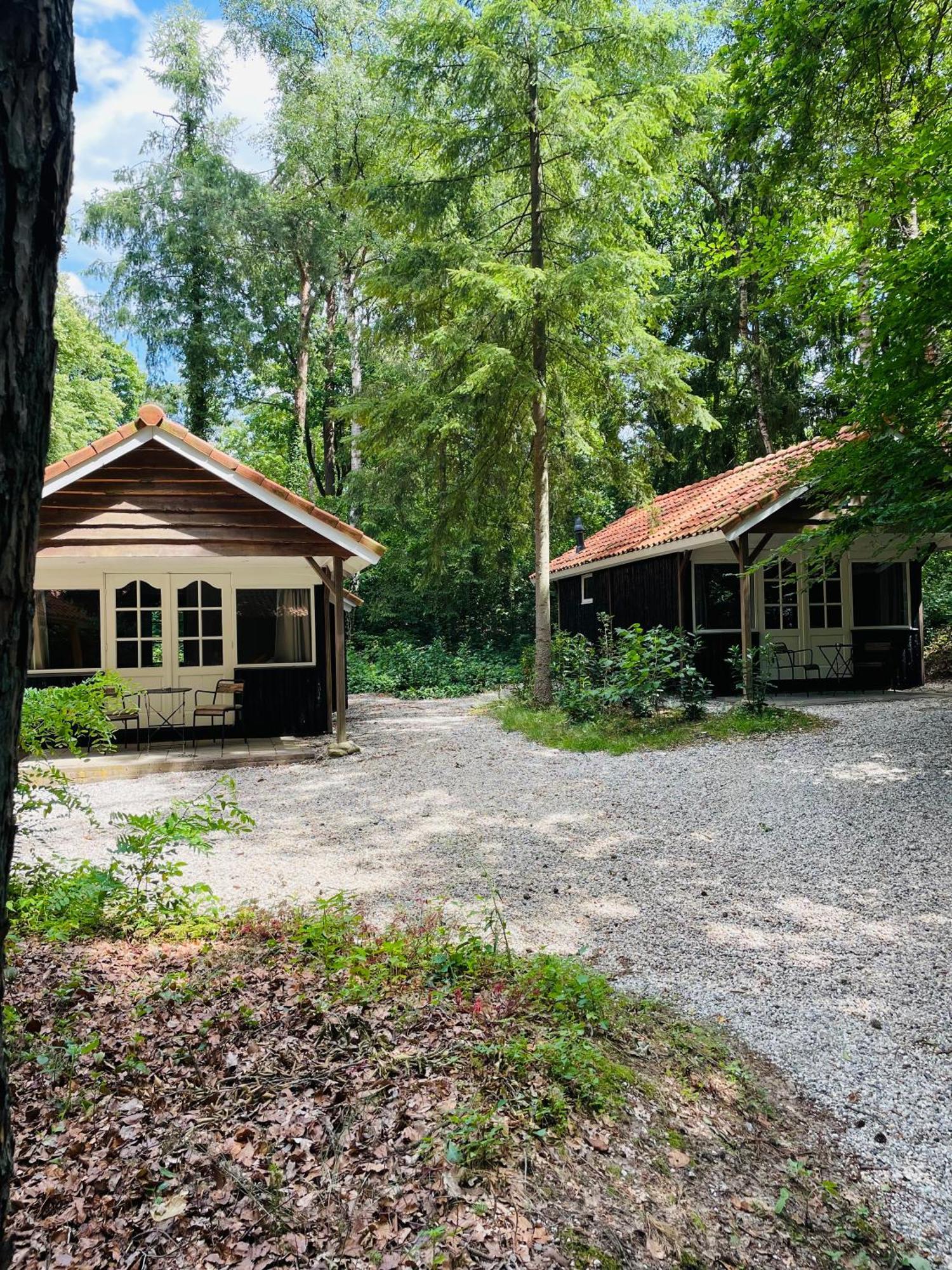 Lodge