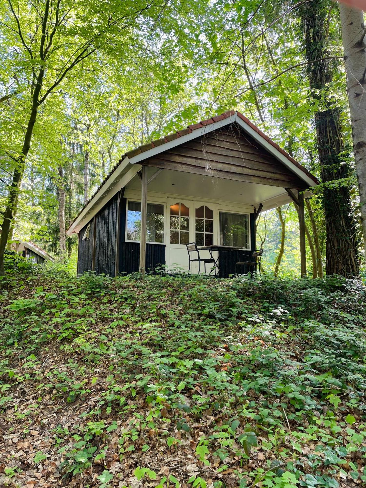 Lodge