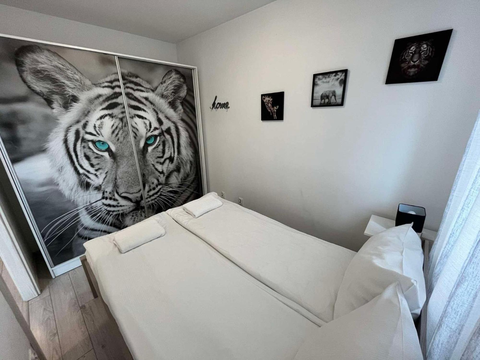 Superior Apartment