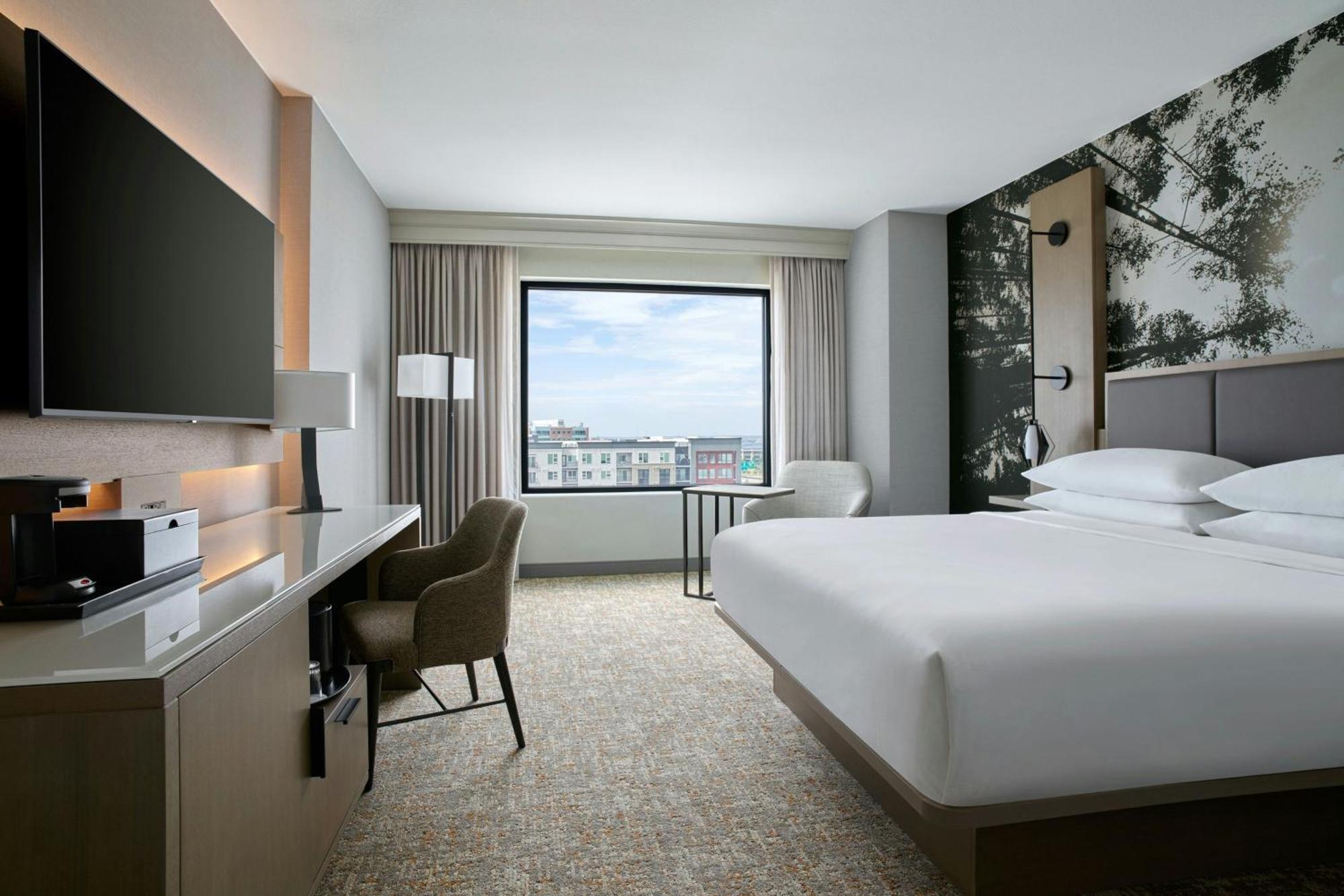Guest room, 1 King