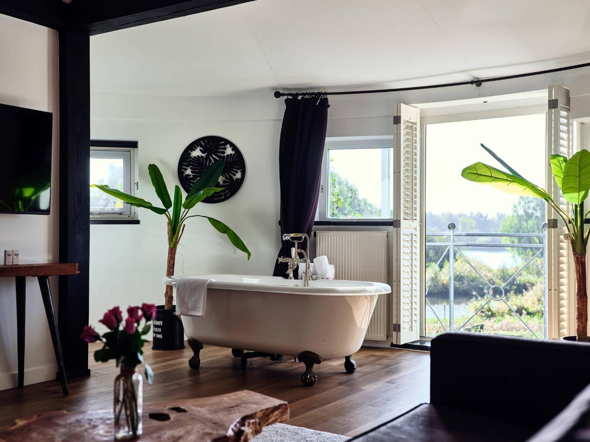 Suite,1705584555:JPEG