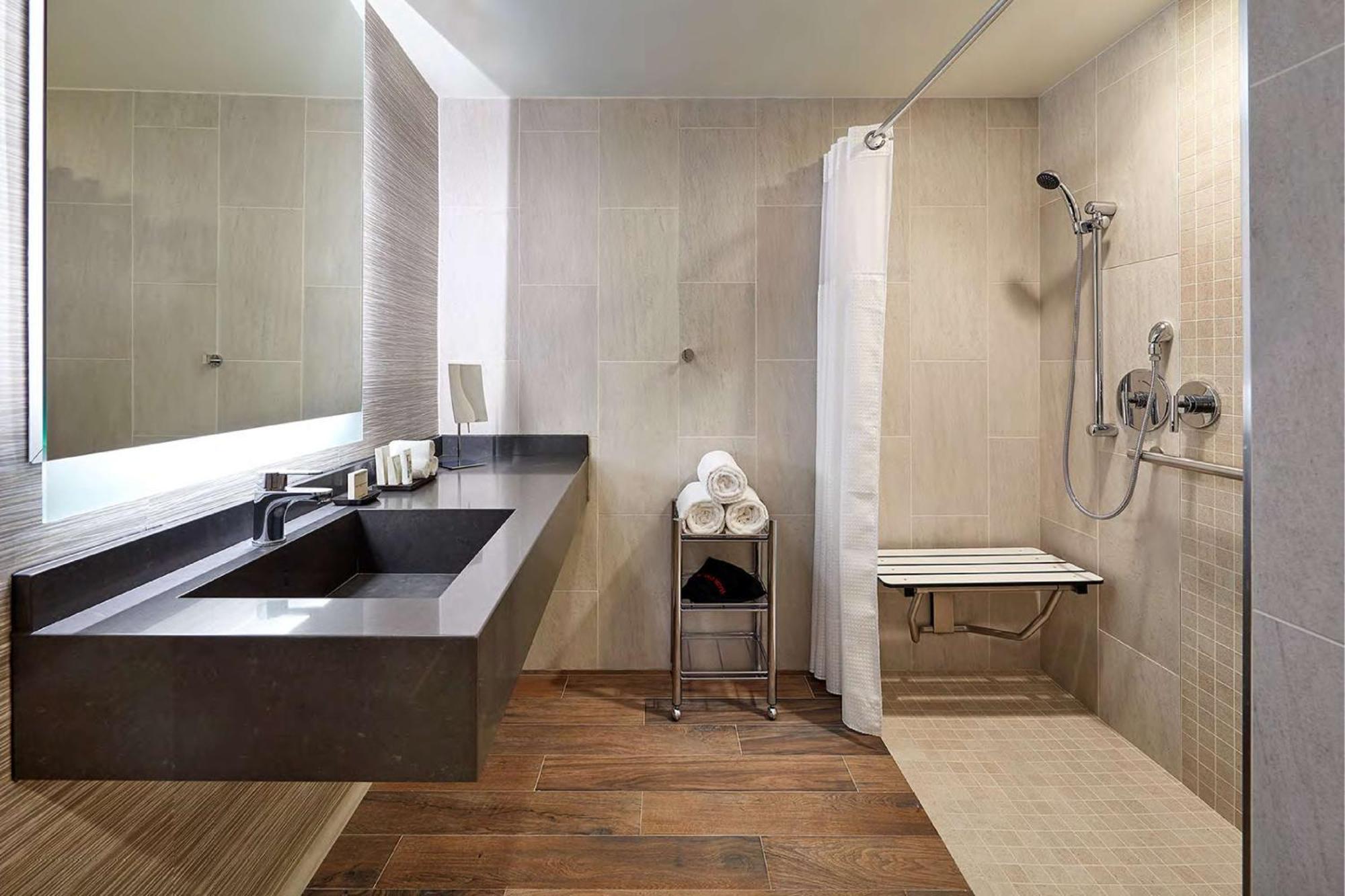 King Room Roll Shower Mobility Access