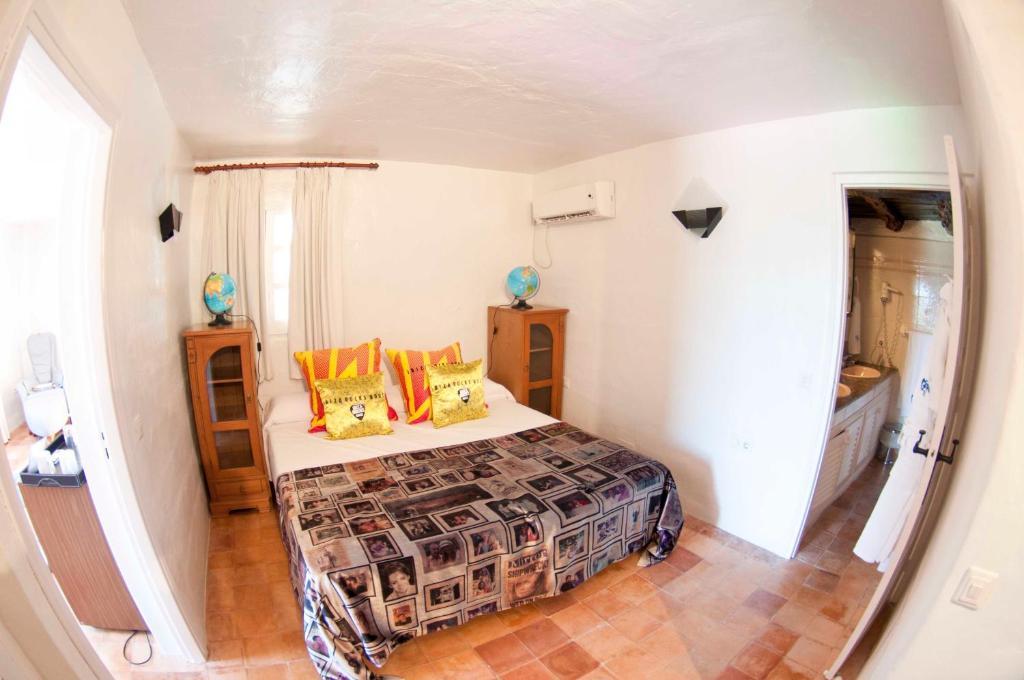 Offre Spéciale – Suite Junior