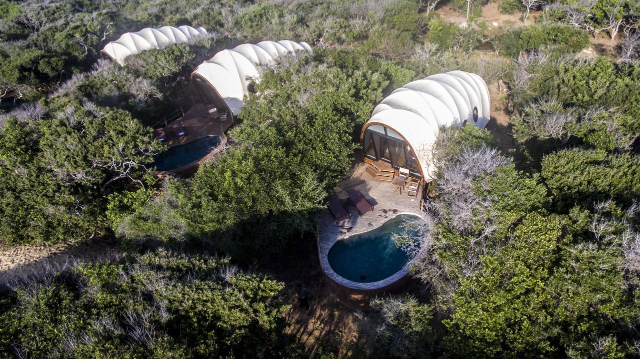 Cocoon Pool Suite with One Free Game Drive