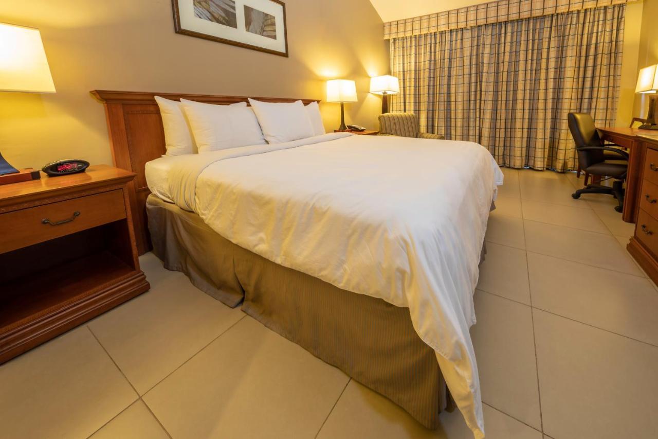Suite mit Kingsize-Bett und Schlafsofa - Nichtraucher