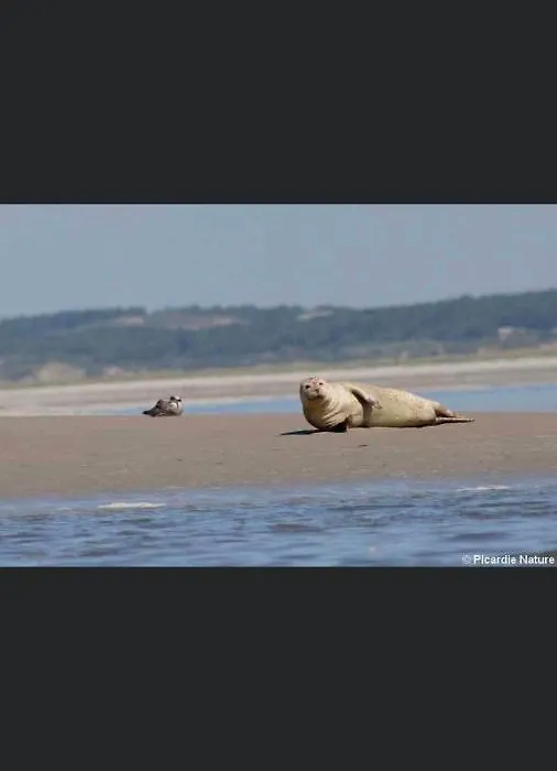 Escale Beaute Le Crotoy-1