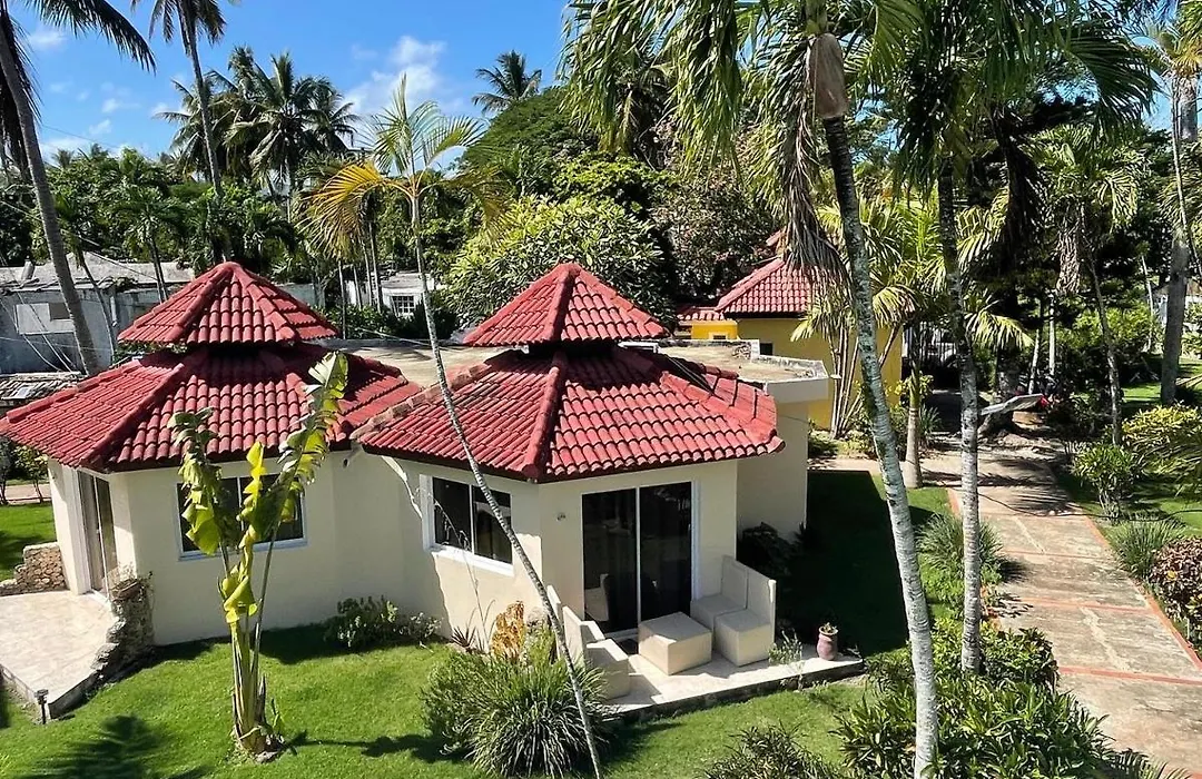 Palms Lounge Cabarete-1