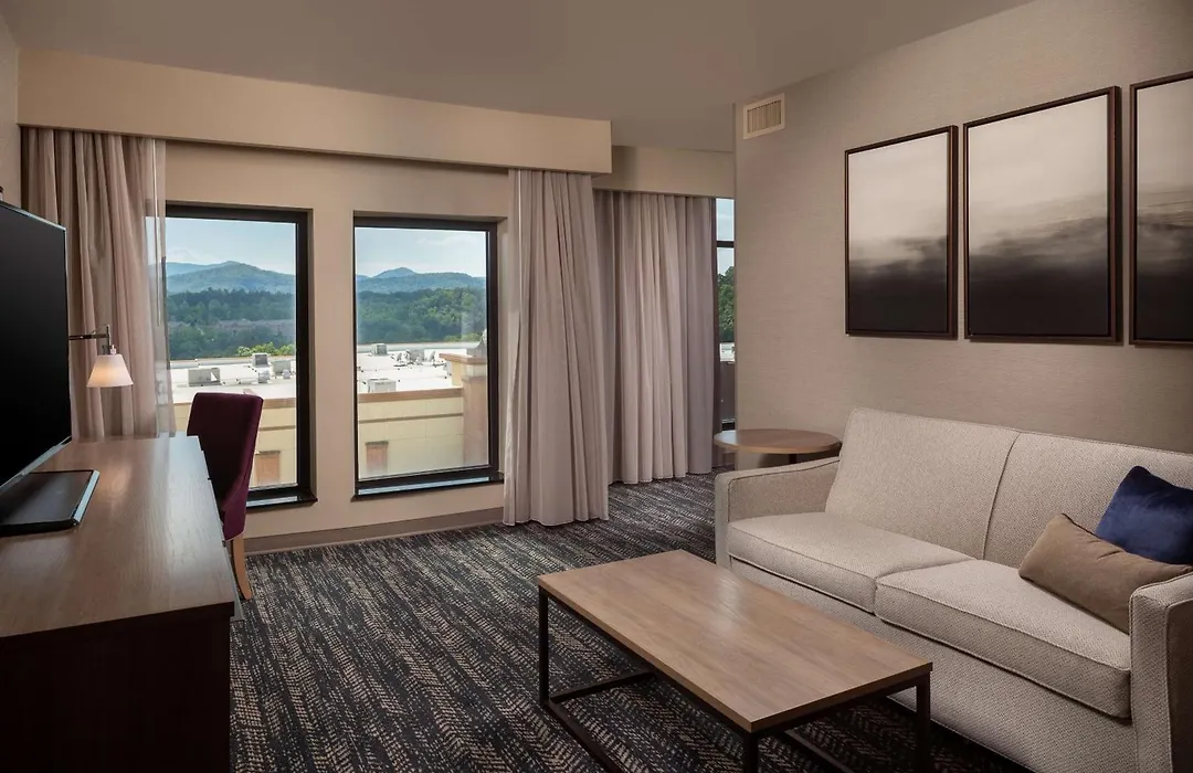 Hilton Asheville Biltmore Park-1