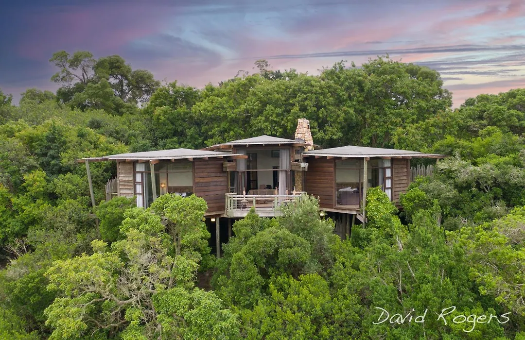 Tsala Treetop Lodge-1