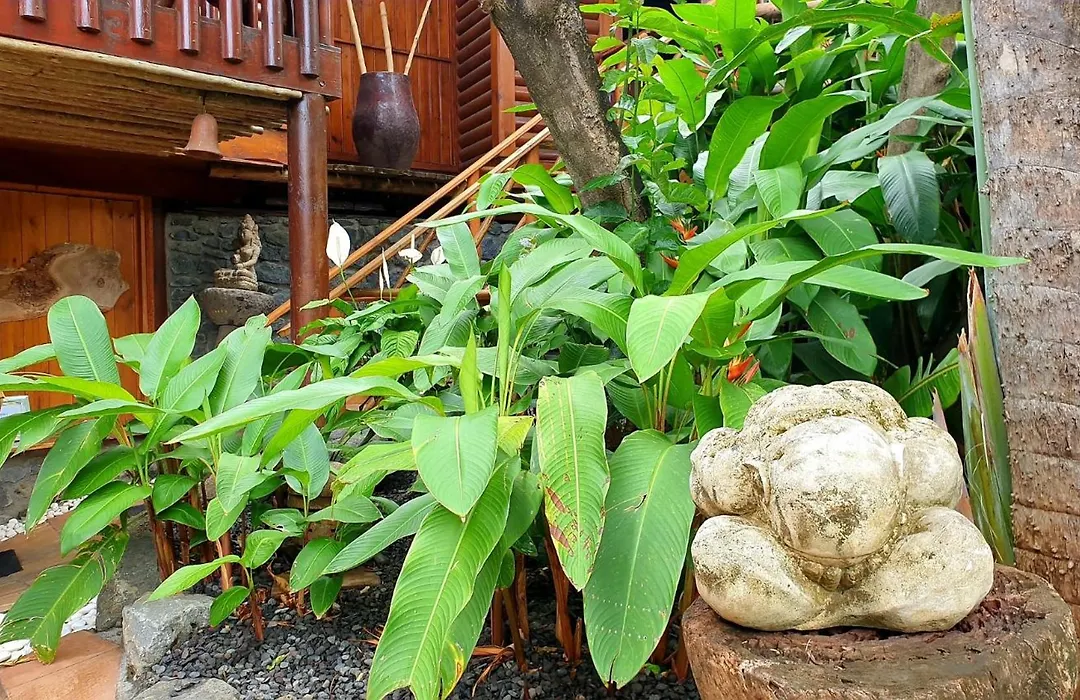 Lodge Roche Tamarin-1