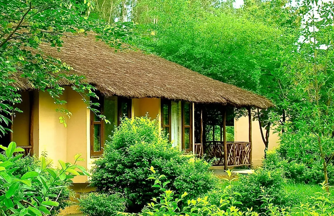 Jim'S Jungle Retreat-1