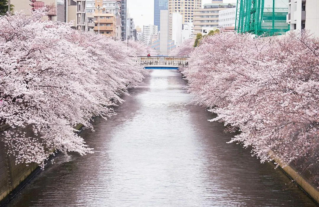 Gajoen Tokyo-1