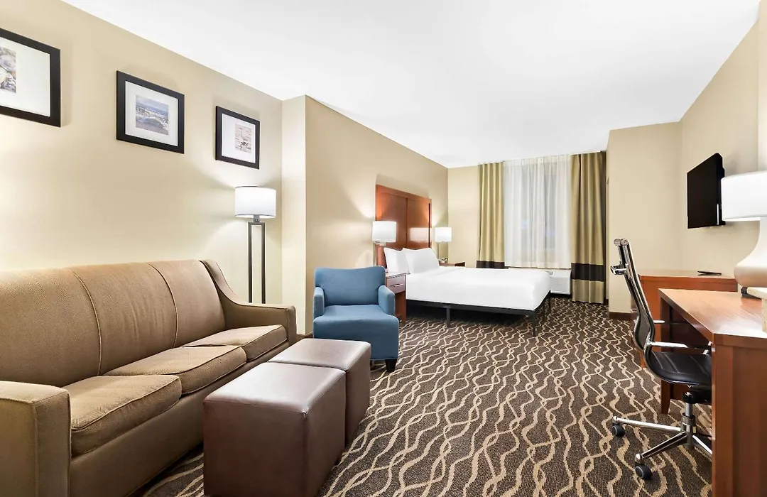 Comfort Suites Tampa Airport North-1