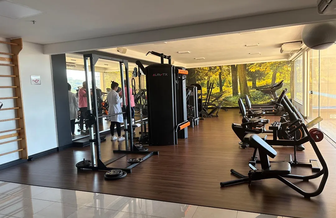 Araucária Flat-1