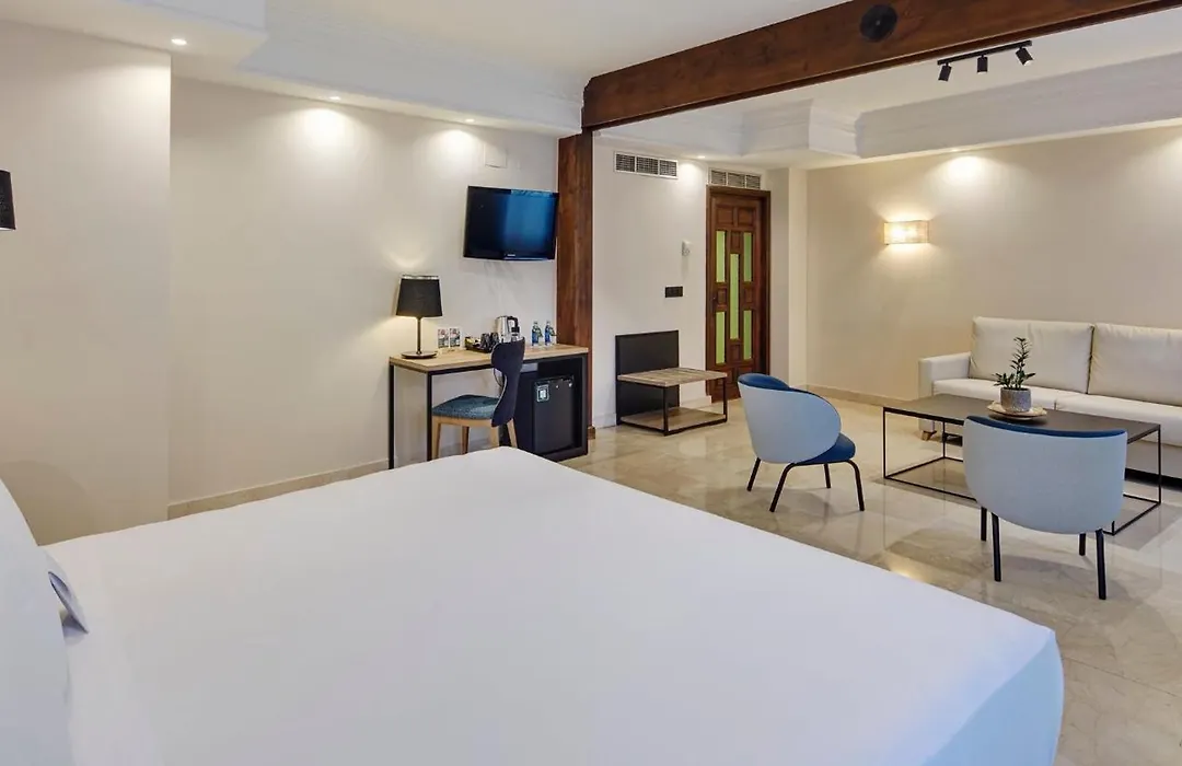 Hotel Sercotel Alfonso VI-1