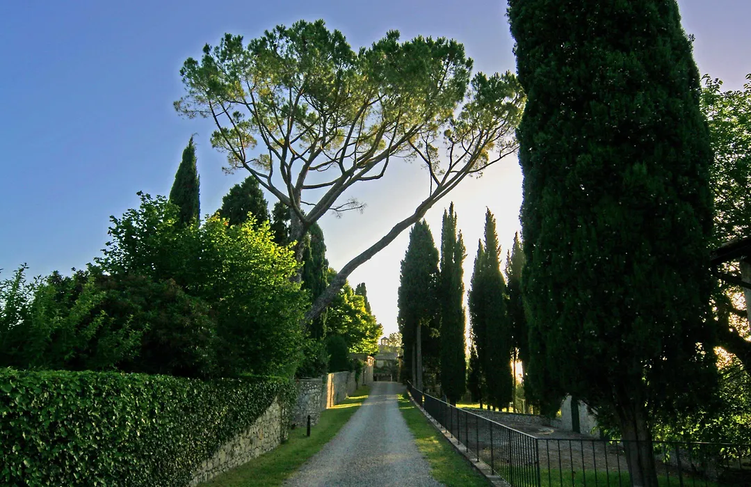 Tenuta Di Ricavo-1