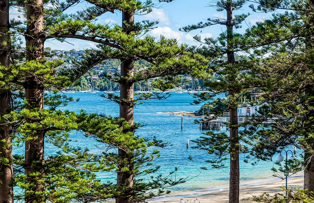Quest Manly-1