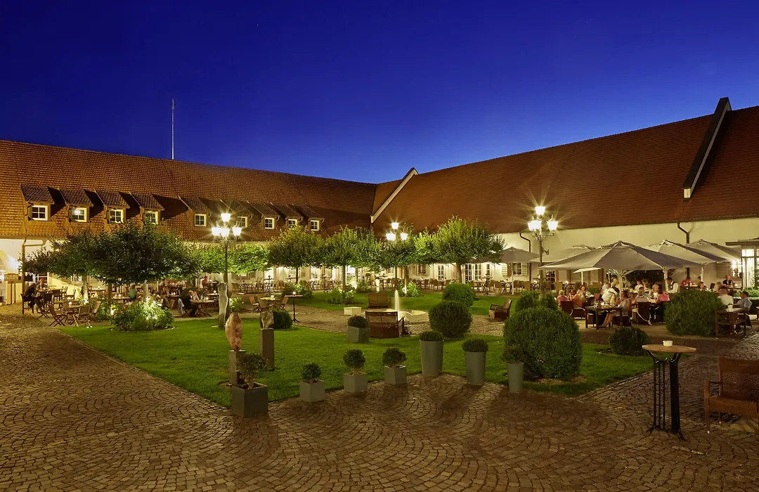 Schloss Reinach-1