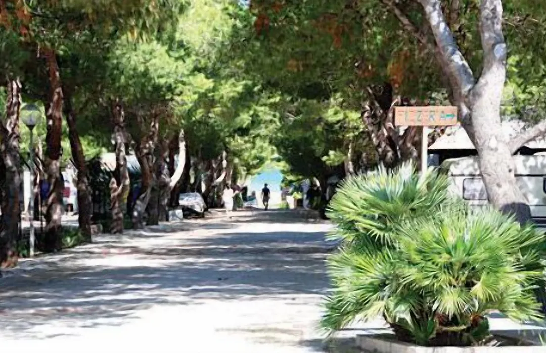 Camping La Pineta-1
