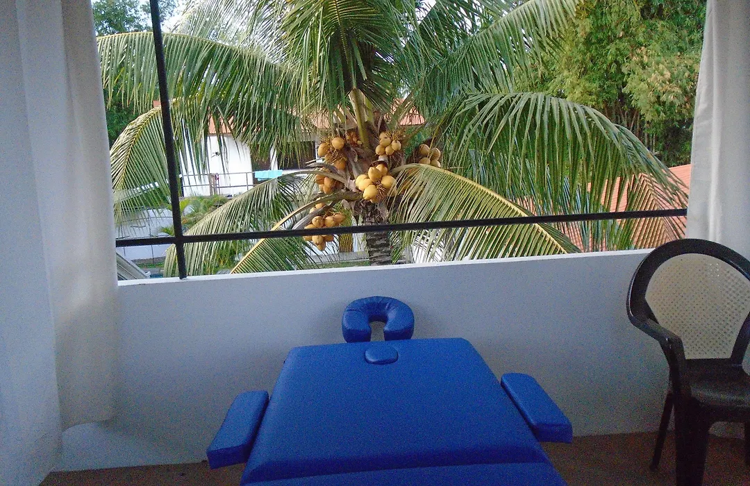 Parrot Resort Moalboal-1