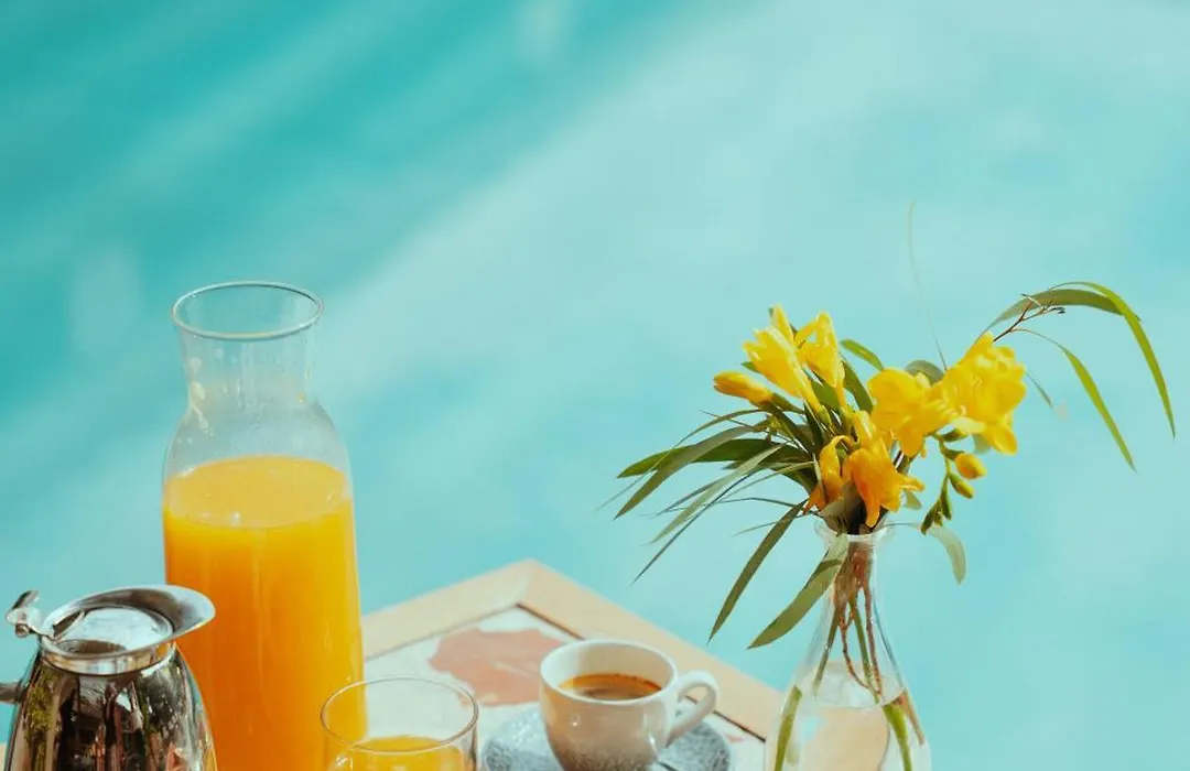 Villa Duflot Hôtel&Spa Perpignan-1