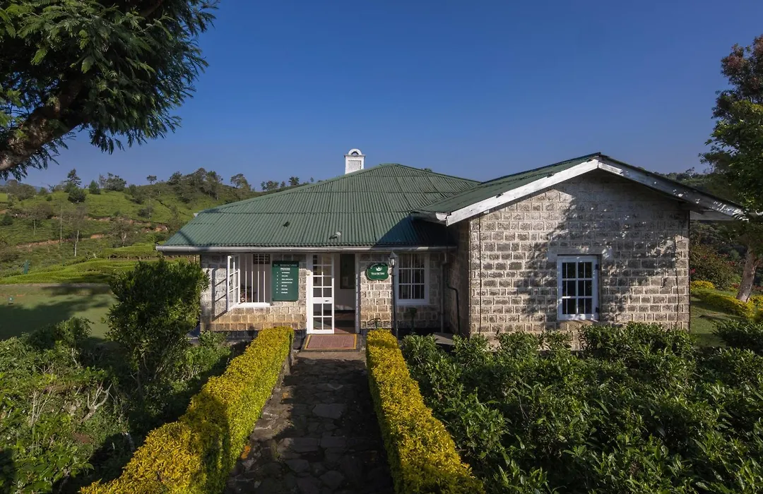 Heritance Tea Factory (Adults Only)-1