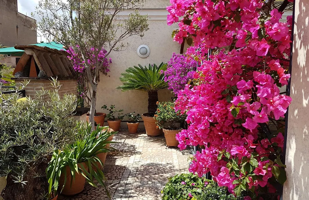 Hotel Celio-1