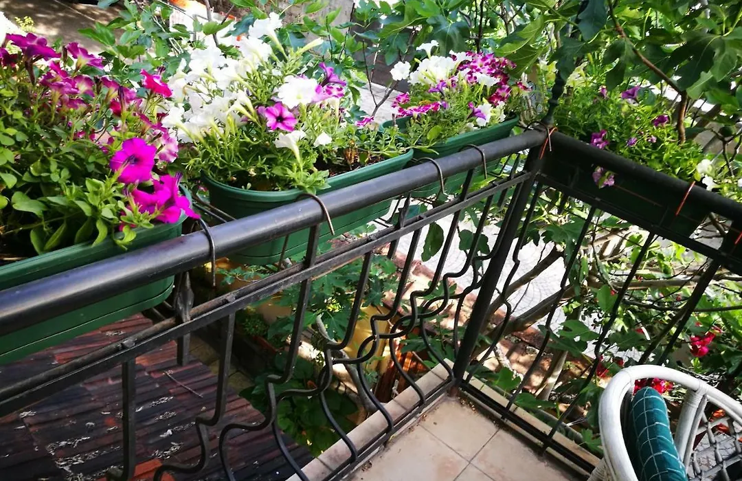 Hotel Paradise-1