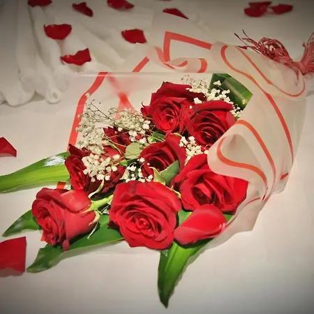 Carawan Al Fahad Hotel-2