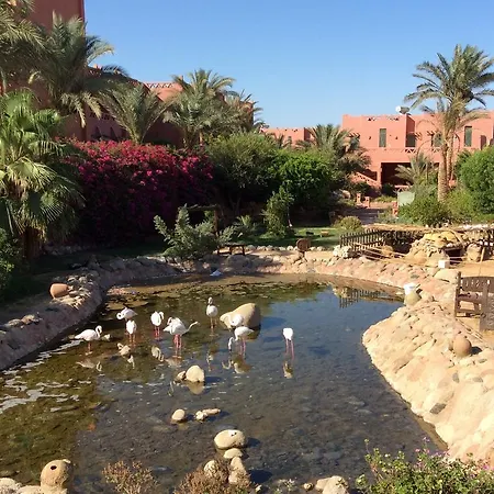 Hauza Beach Resort & Aqua-3