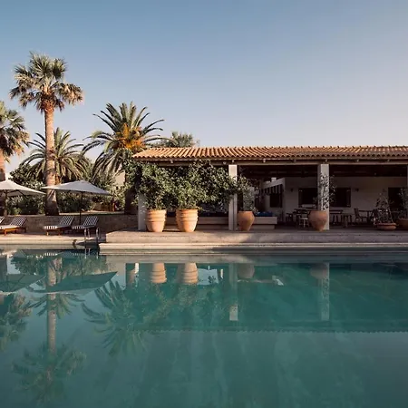 Phaea Cretan Malia, A Member Of Design Hotels-2