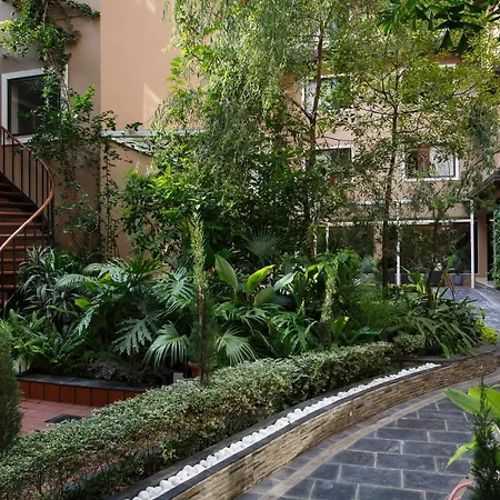 Hotel Thrive, A Tropical Courtyard-3