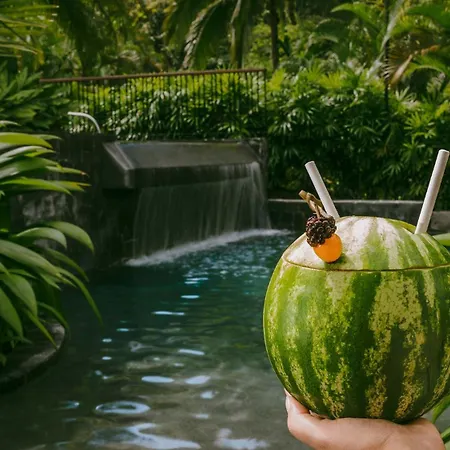 Tabacon Thermal Resort & Spa-2