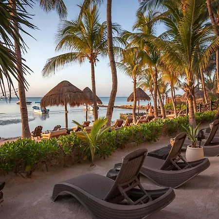 Beachfront Hotel La Palapa - Adults Only-3