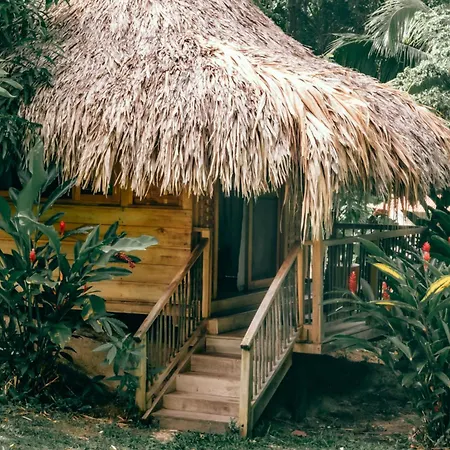 Magic Green dentro del Parque Tayrona-2