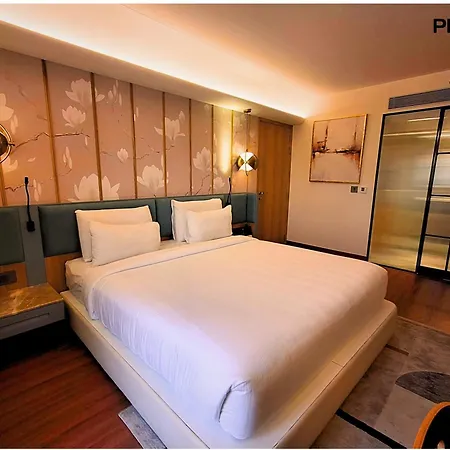Pride Plaza Hotel, Ahmedabad-3